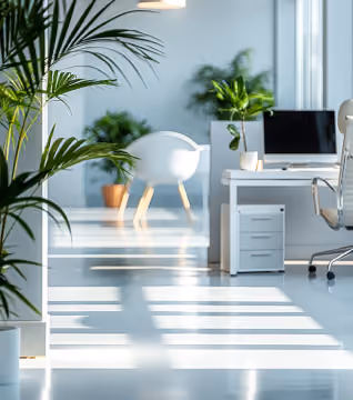 Bright modern office with plants, white desk, computer, chair, and sunlight on the floor.