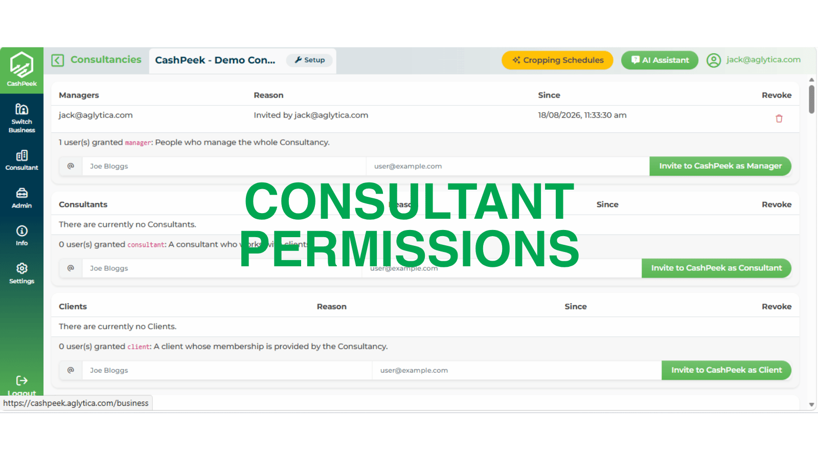 cashpeek consultant permissions