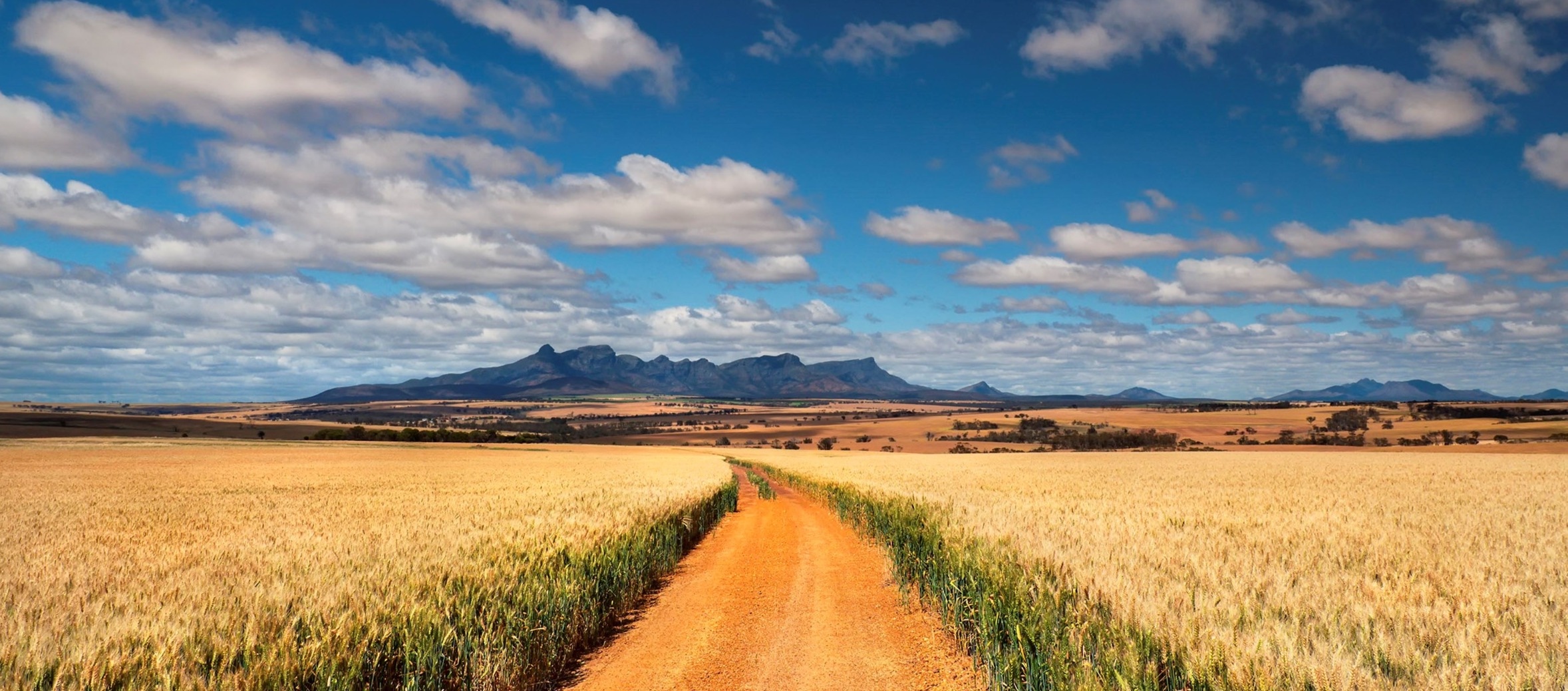 What Percentage Of Businesses Have An Annual Budget In Australia?