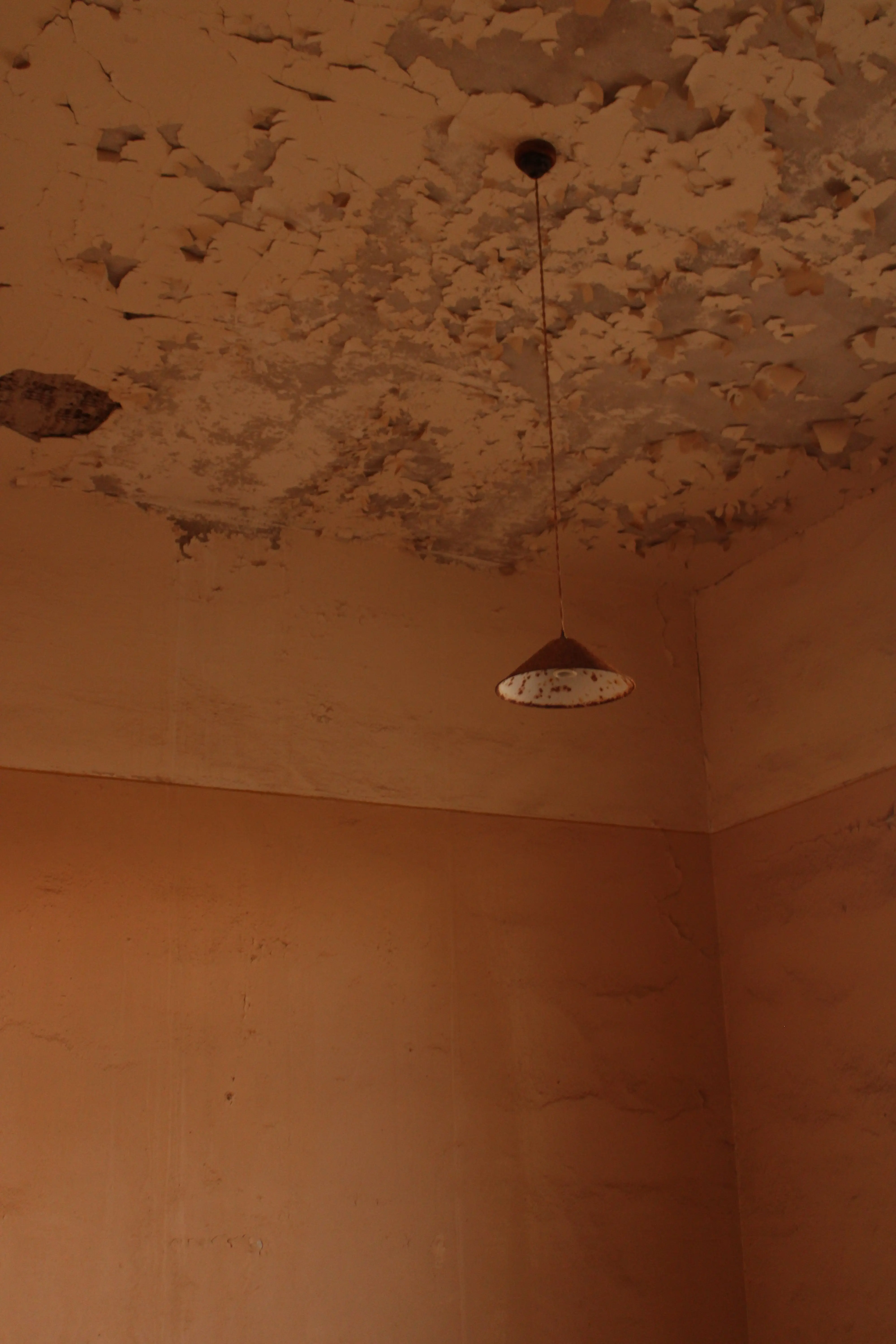 Plafond dégradé par infiltration d'eau fuite toiture non traitée La Baule SDR HABITAT
