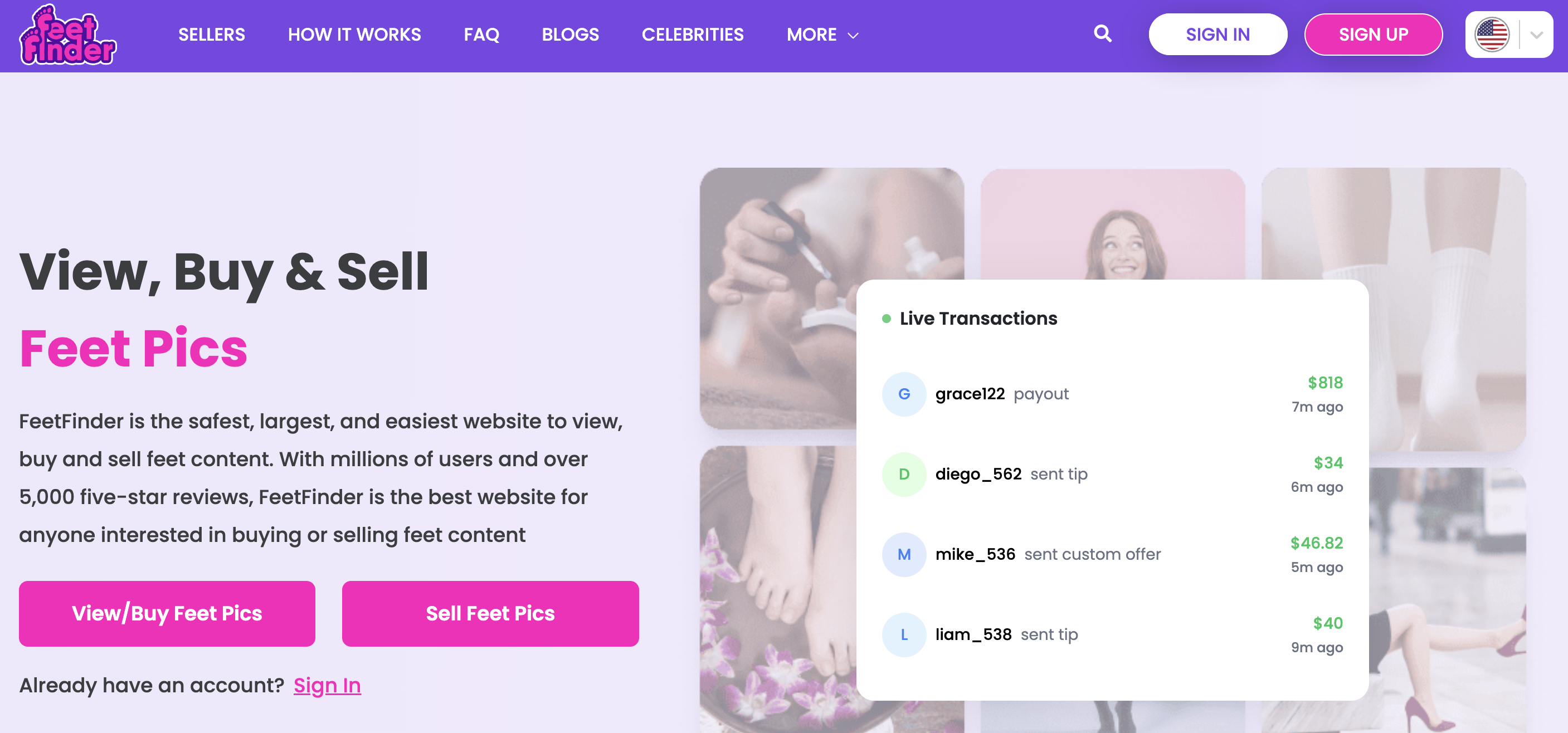 best findom site to find a paypig