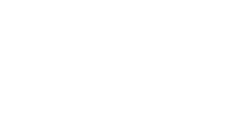 Pearlshire logo text in white on transparent background.