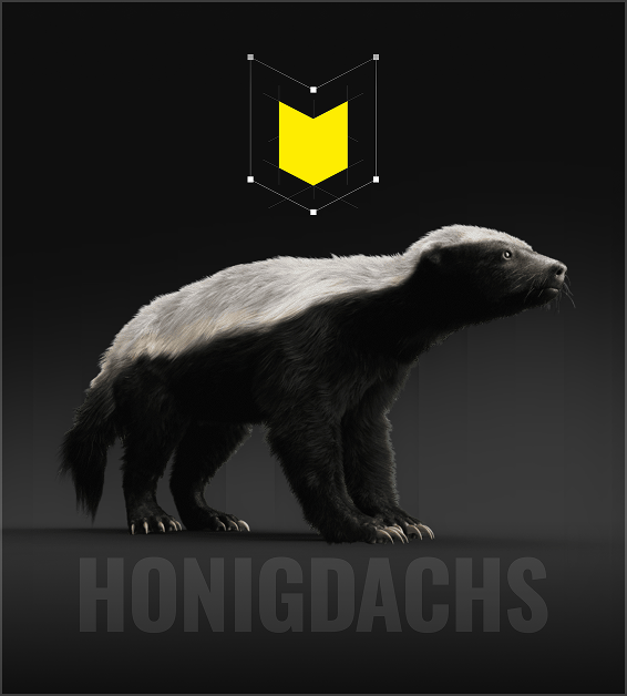 Honey badger with black and white fur standing on dark background with a yellow emblem above it.
