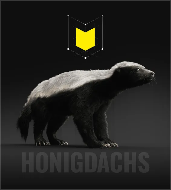 Honey badger with black and white fur standing on dark background with a yellow emblem above it.