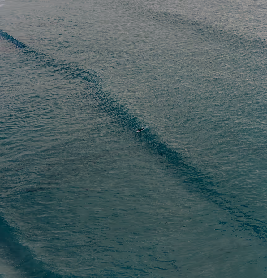 A lone surfer paddling on a surfboard in the ocean near a small wave.