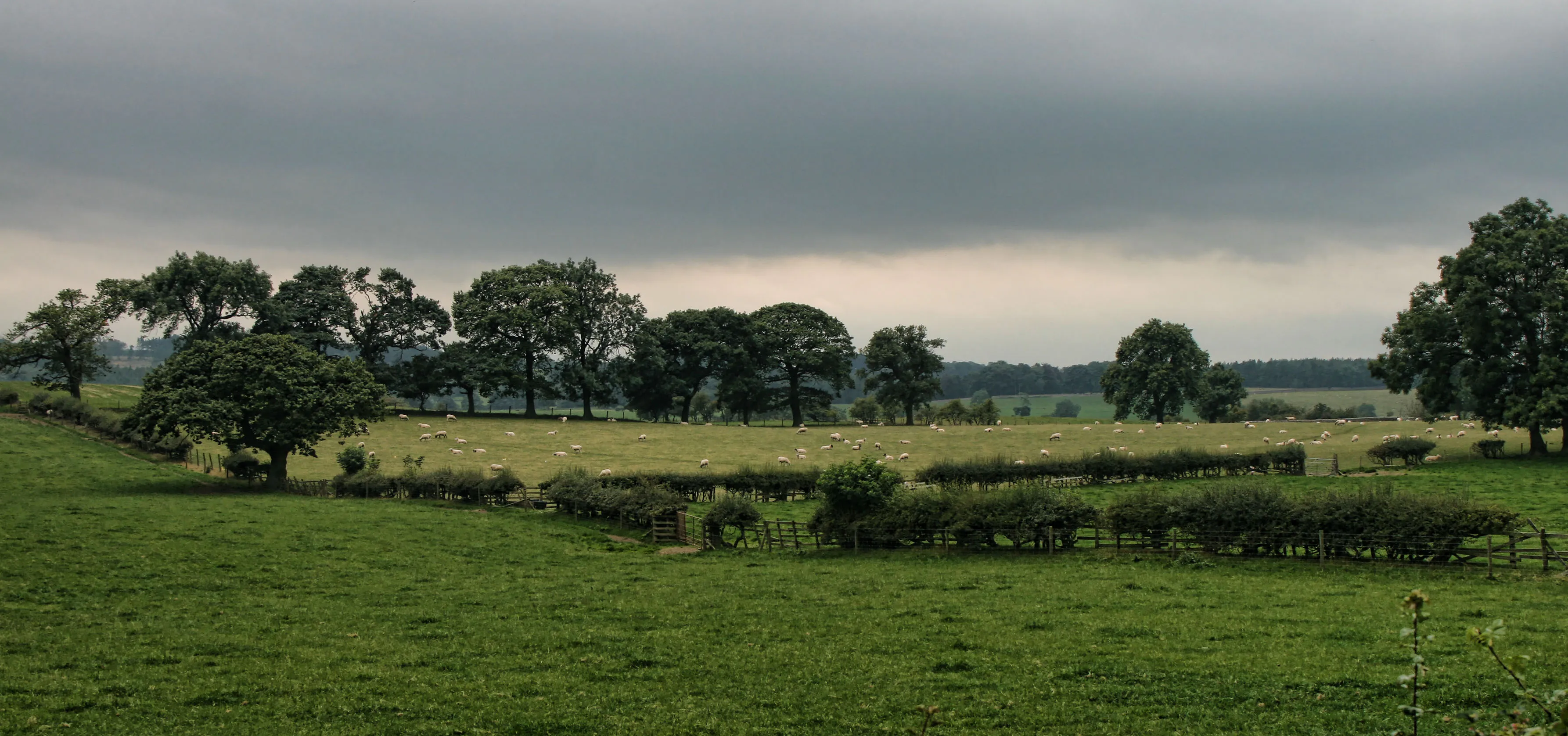 view from Marwood across fields