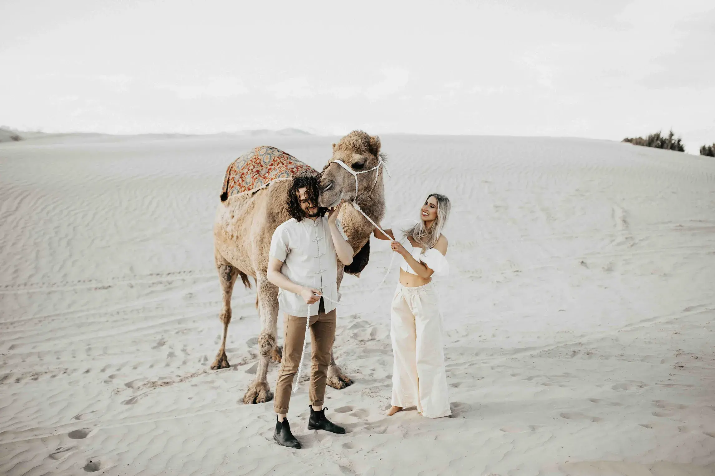 Couple sharing a playful moment with a camel in the desert during an adventurous session inspired by Utah's national park landscapes, surrounded by sweeping sand dunes.