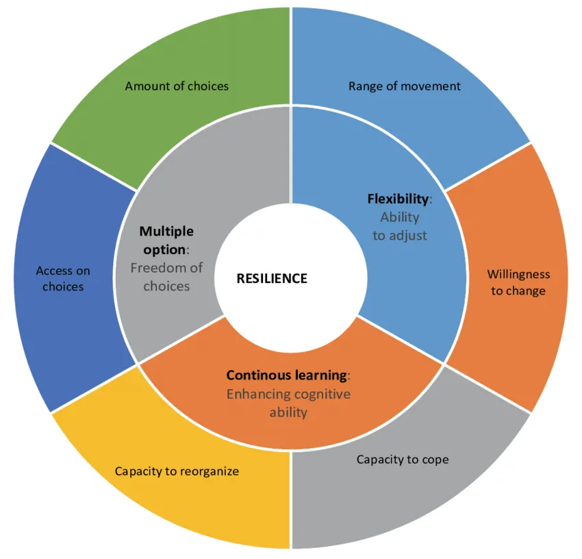 Circular diagram of resilience components including flexibility, learning and adaptation capacity
