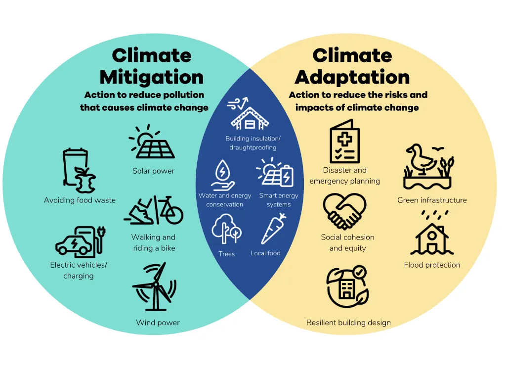 Climate action infographic showing mitigation measures and climate change adaptation strategies