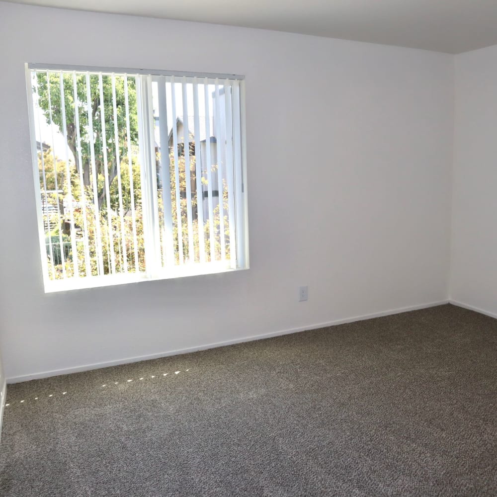 Unfurnished bedroom with carpet and large window