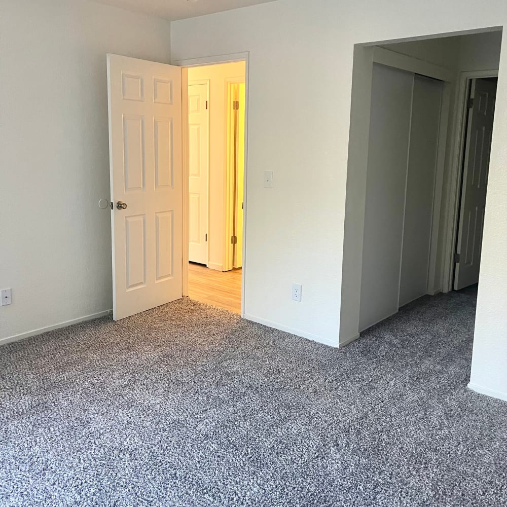 Unfurnished bedroom with carpet and closet