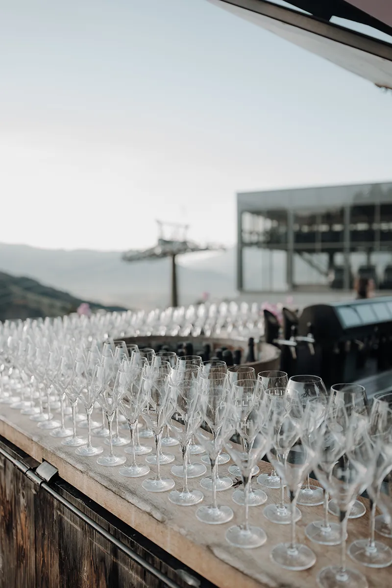 Austria Wedding Party 2025