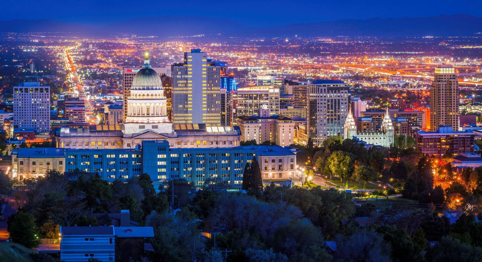 IACP Technology Conference