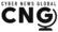 Searchlight Cyber Launches New Program for Channel Partners