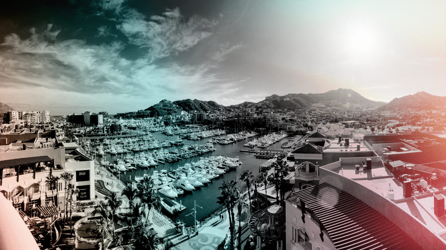 CXO Live Cabo San Lucas - C-Suite Forum