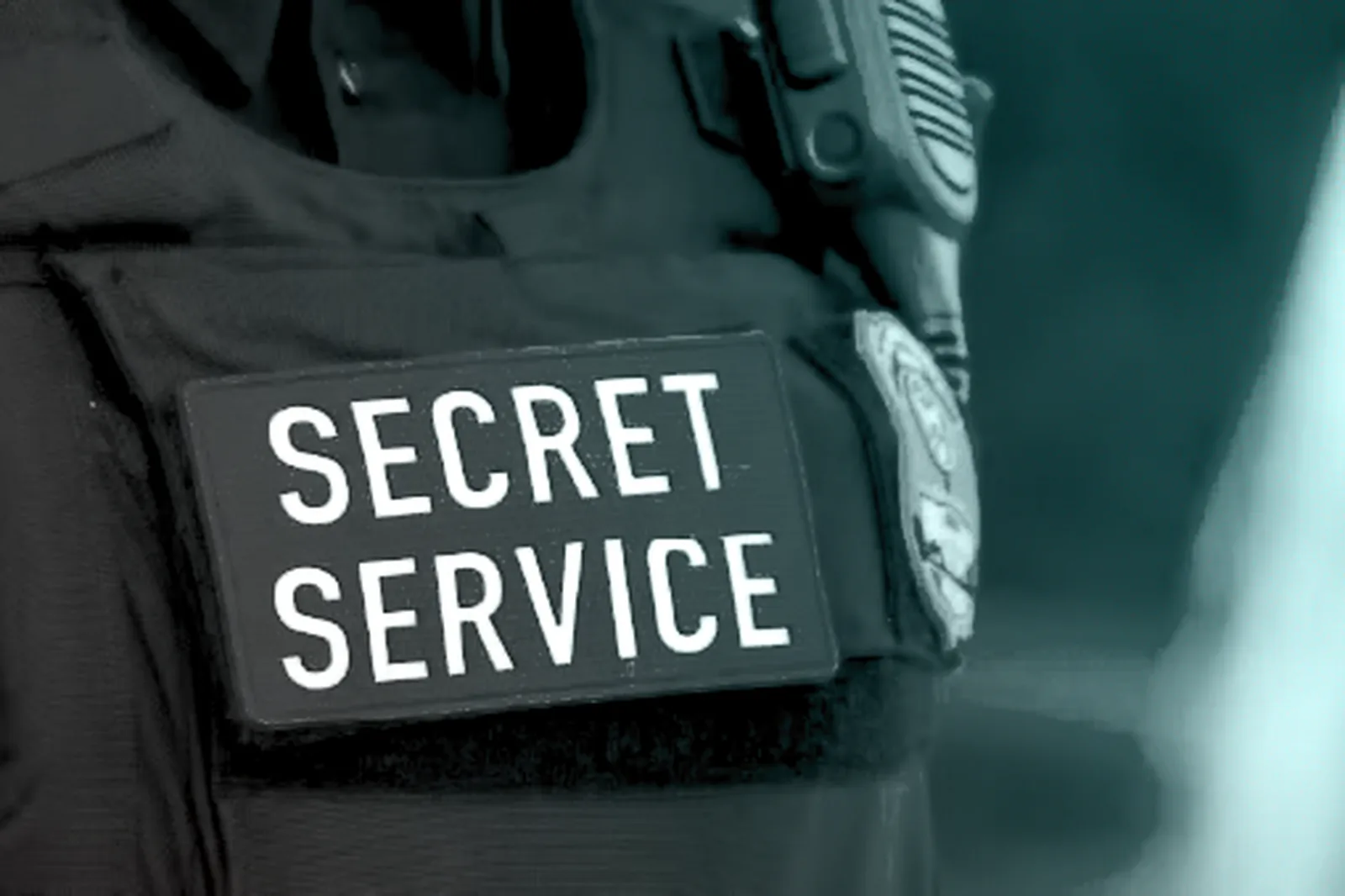 BidenCash Marketplace Seized by U.S. Law Enforcement