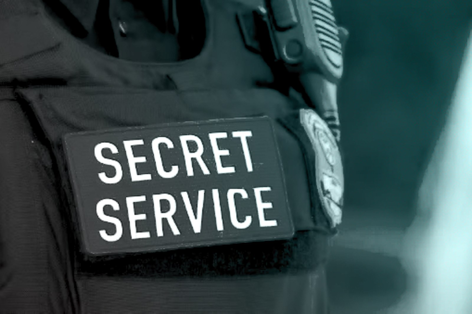 BidenCash Marketplace Seized by U.S. Law Enforcement