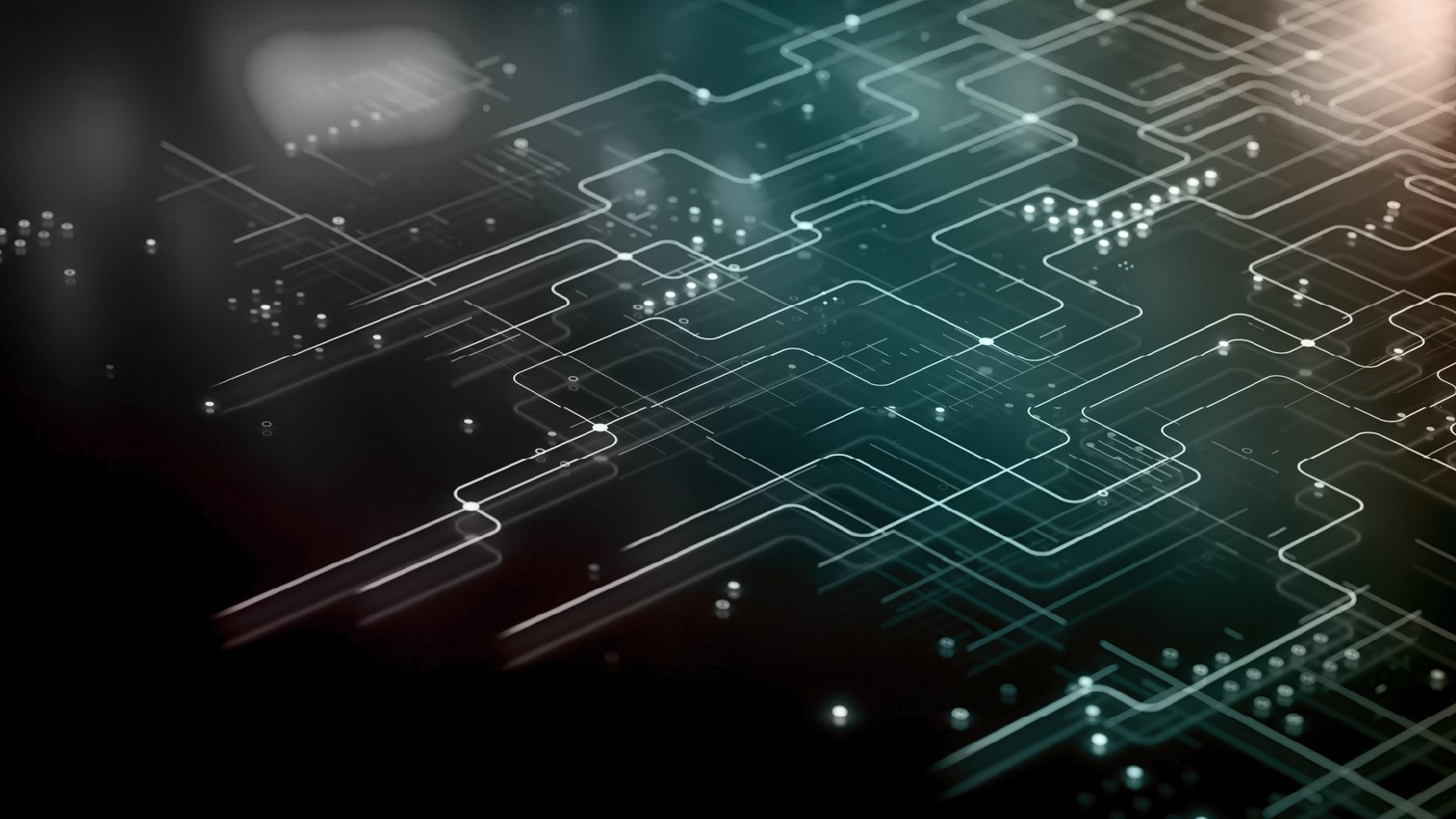How to Check if Your Data is on the Dark Web