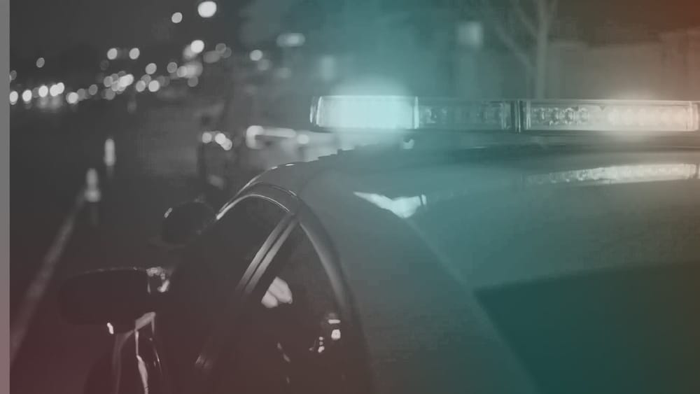Global Crackdown Leads to BreachForums Arrest
