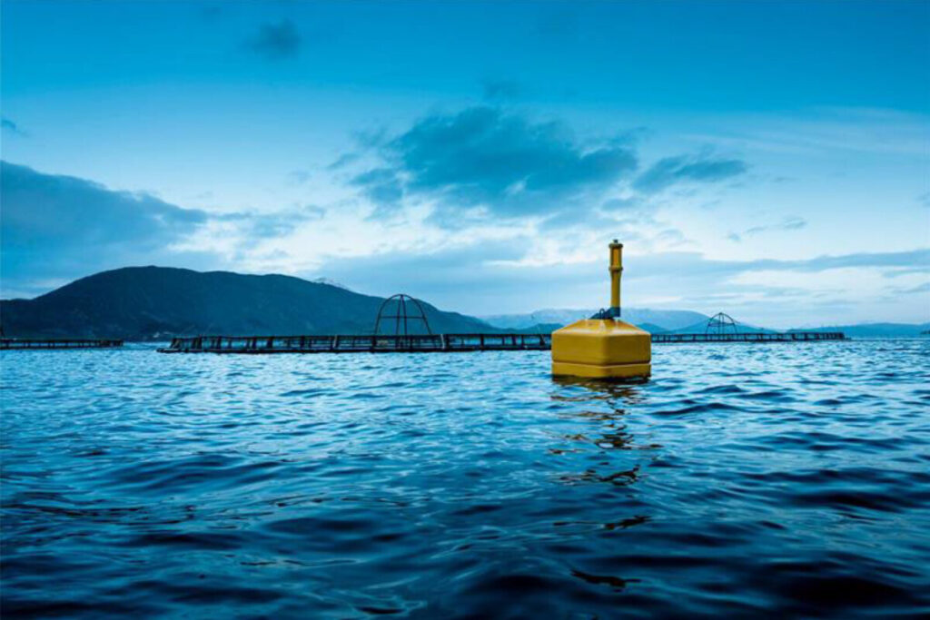 AIS acquires Ovun