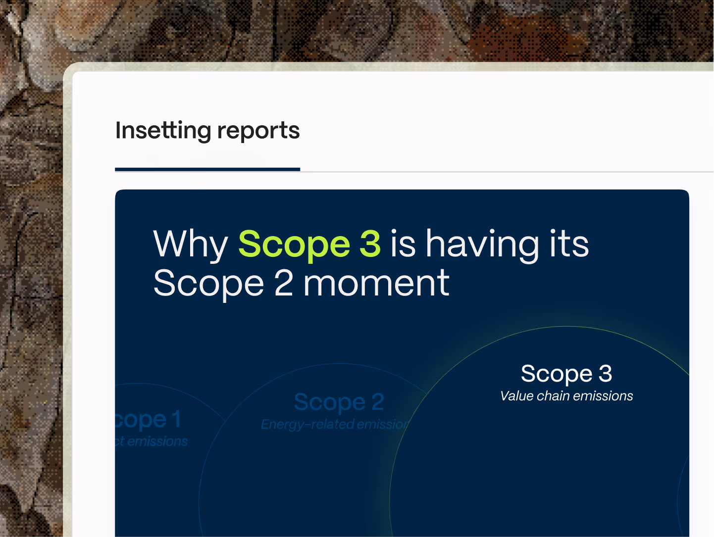 Abatable insetting reports module showing Scope 3 supply chain emissions reduction project data.