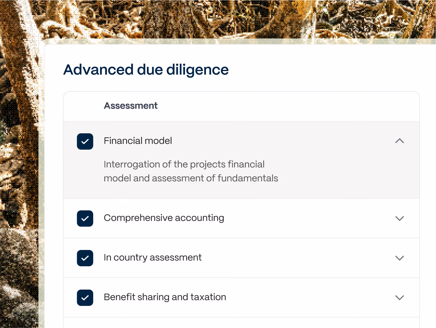 Abatable advanced due diligence report displaying carbon project risk flags and assessment scores.