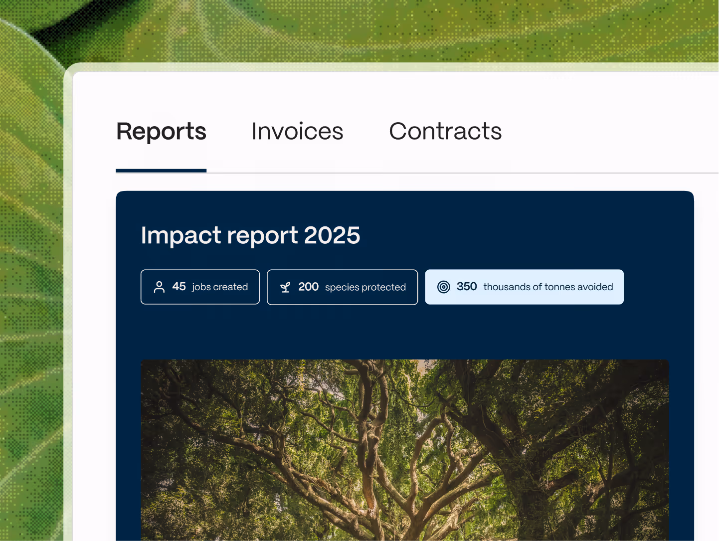 Abatable narrative and reporting tool for generating carbon credit impact and compliance reports.