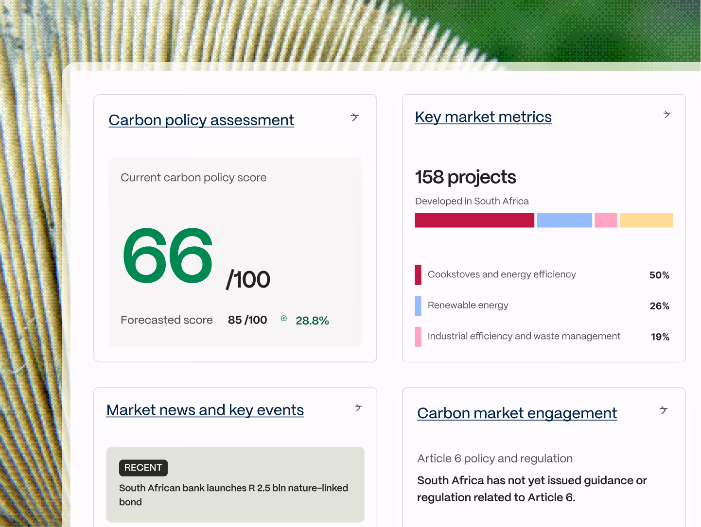 Abatable policy profiles module showing carbon market regulatory risk assessments by country.
