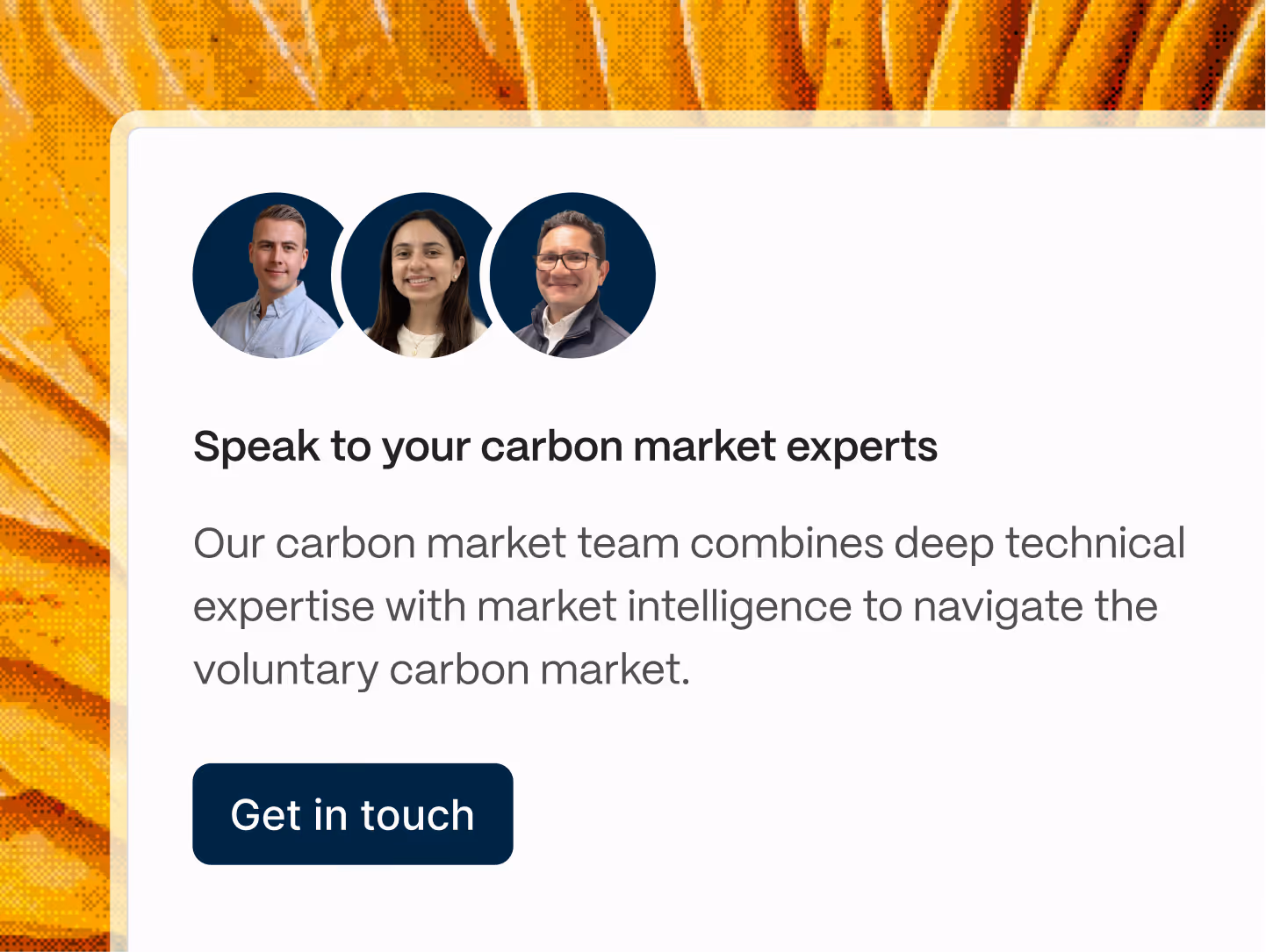 Abatable strategic advisory service interface showing carbon project portfolio overview.