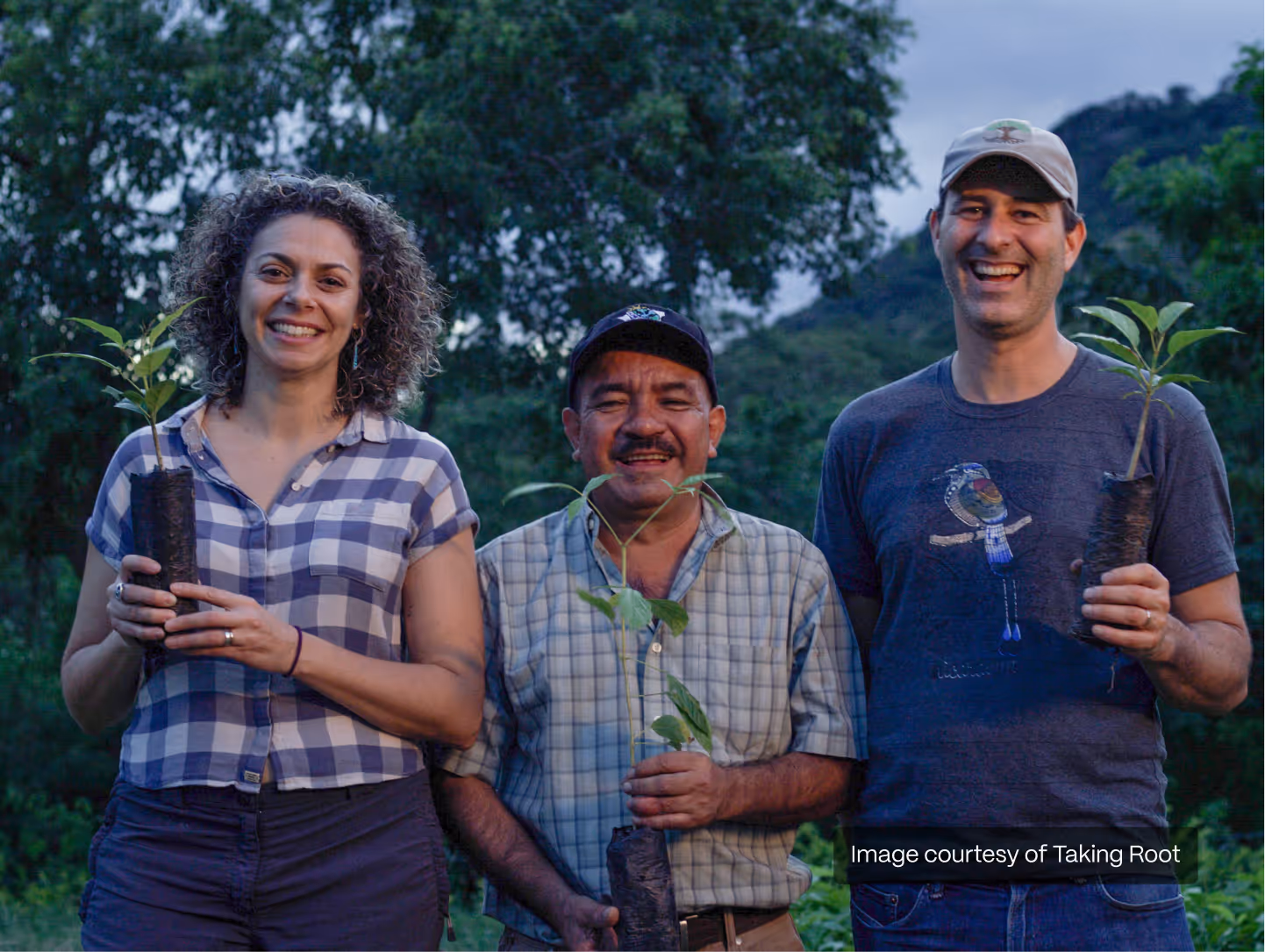 Three smiling people holding young tree seedlings outdoors with trees and hills in the background.
