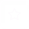 White star icon