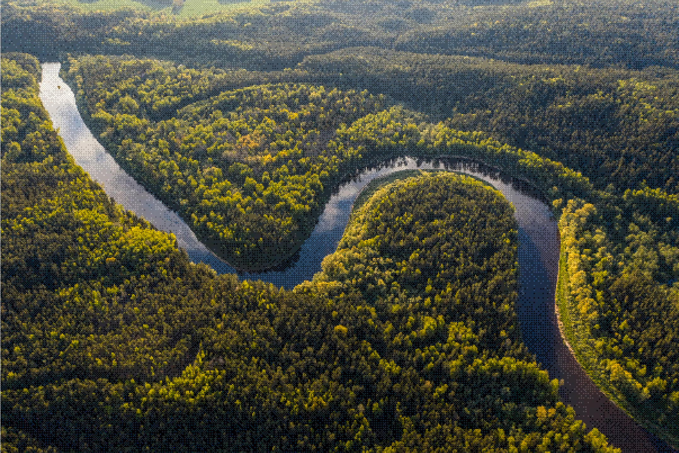 Aerial view of a winding river flowing through dense green forest landscape.