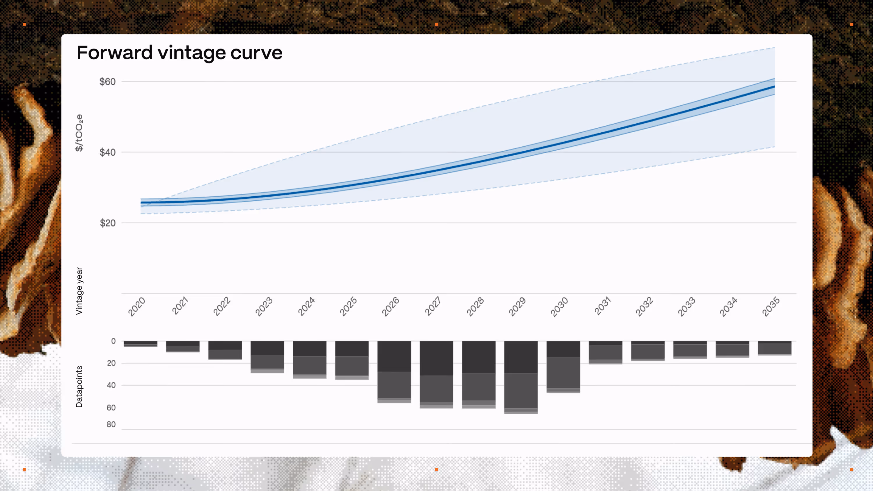 Abatable's vintage forward curves