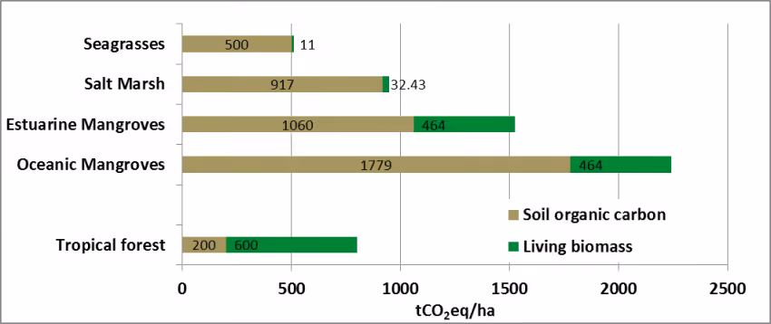 Graph that compares global averages for blue carbon pools (with tropical forests for comparison)