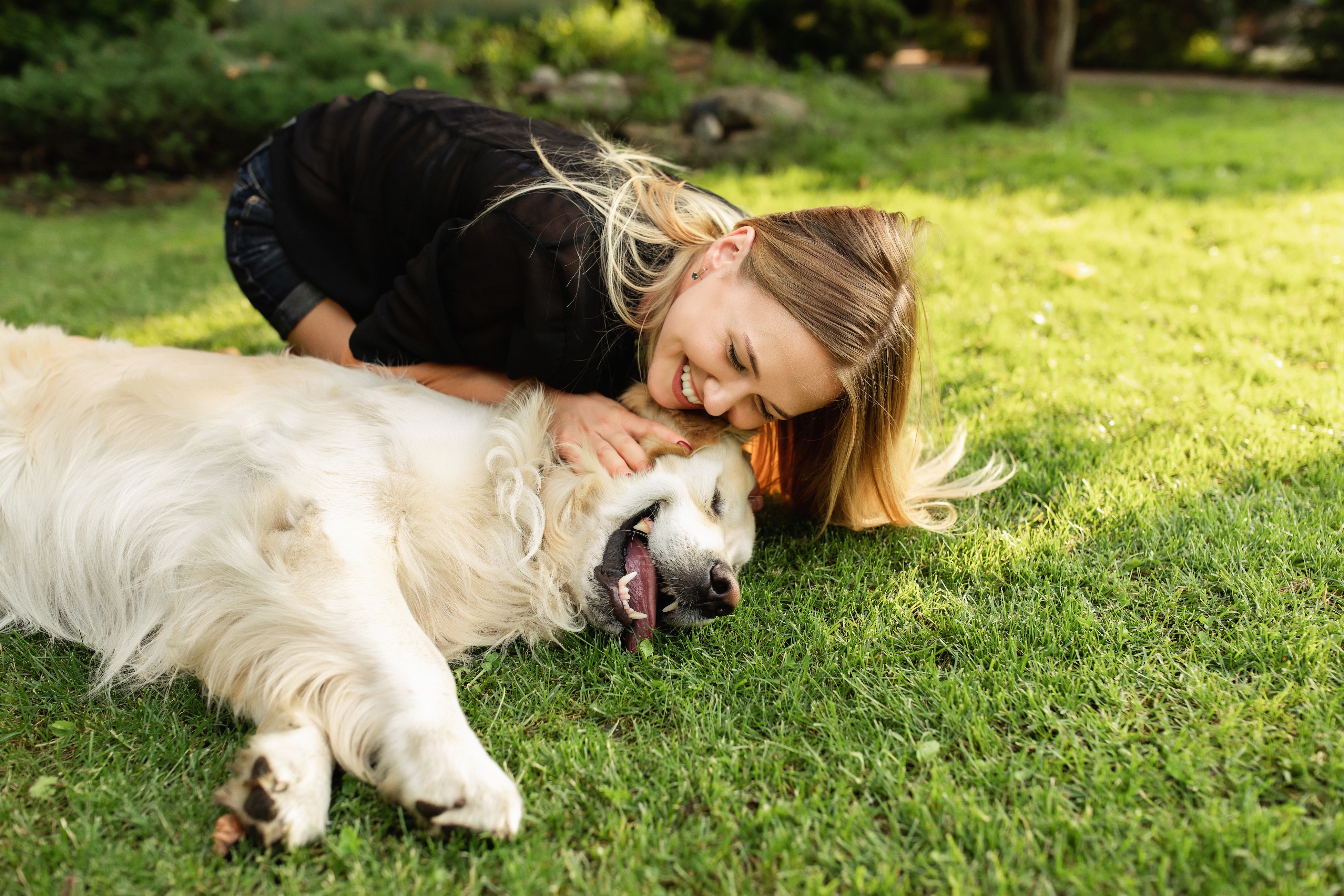 Woman playing with dog stock photo