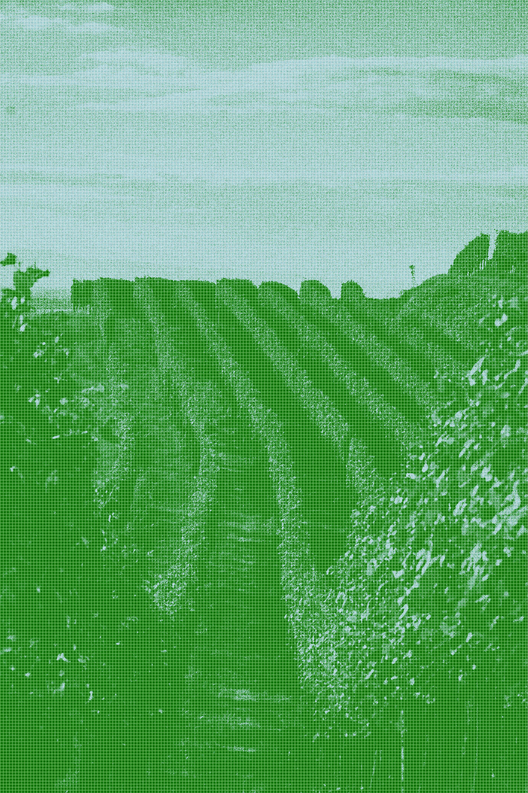 Image of a vineyard with green overlay