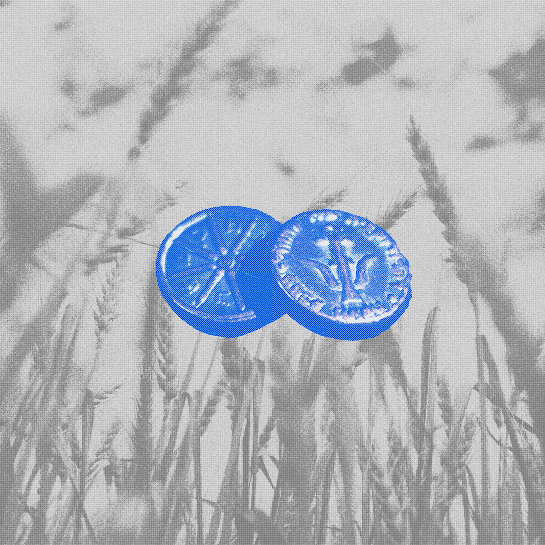 Two blue ancient coins on top of a grayscale close-up image of wheat against the sky