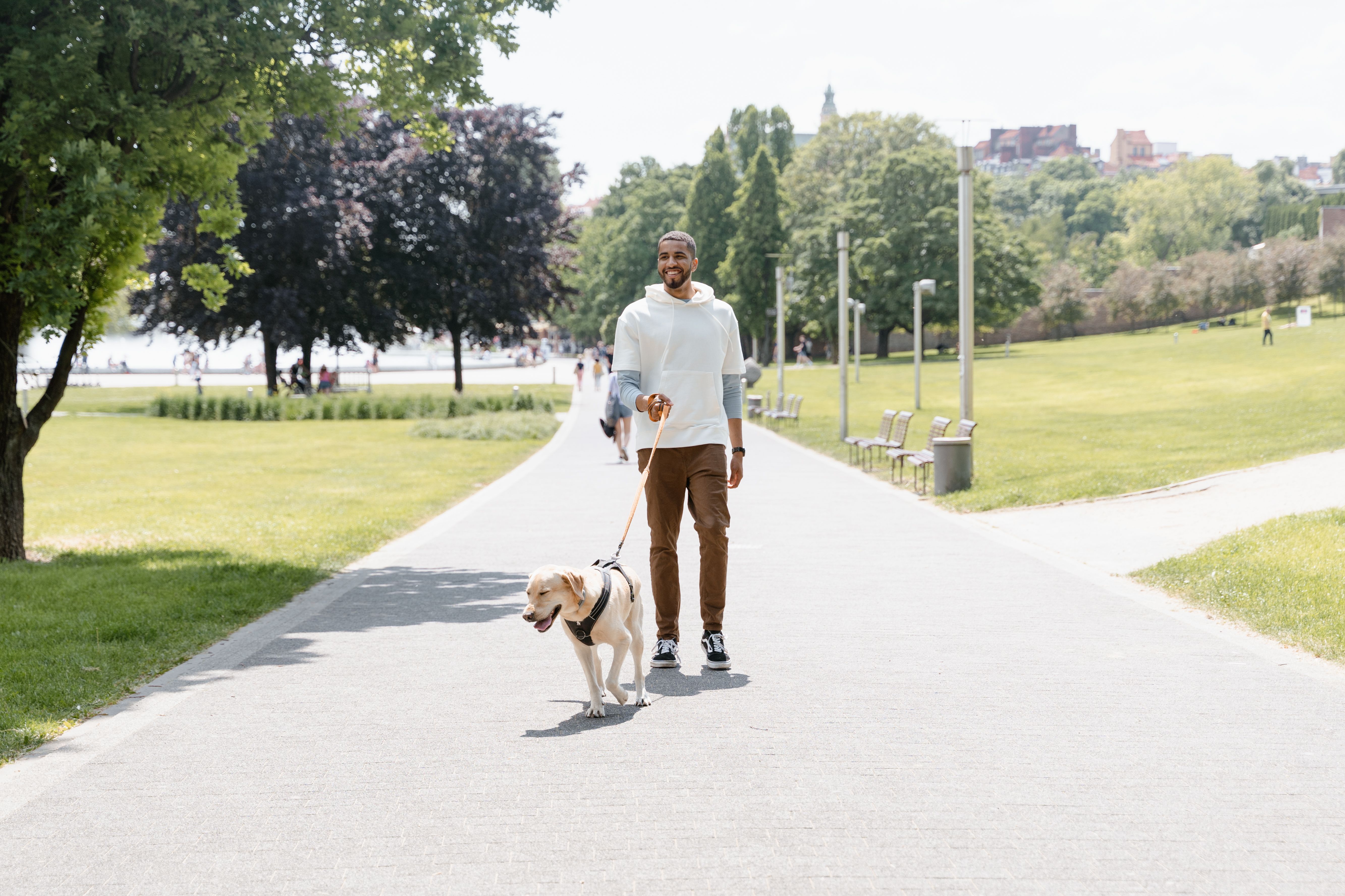 Man walking his dog outside stock image