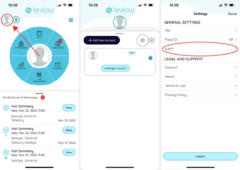 Visual screenshot of Healow app login