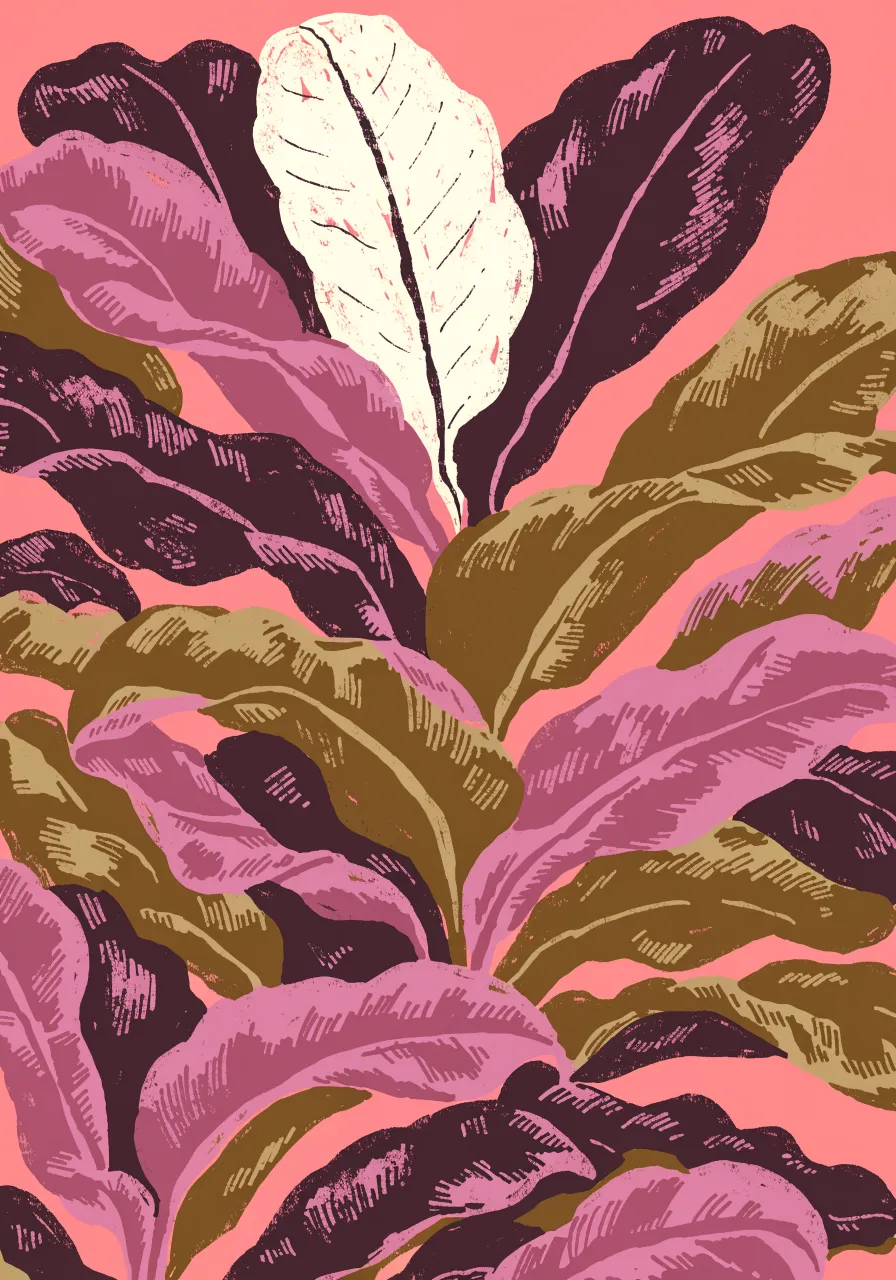 Rubber plant leaves on pink