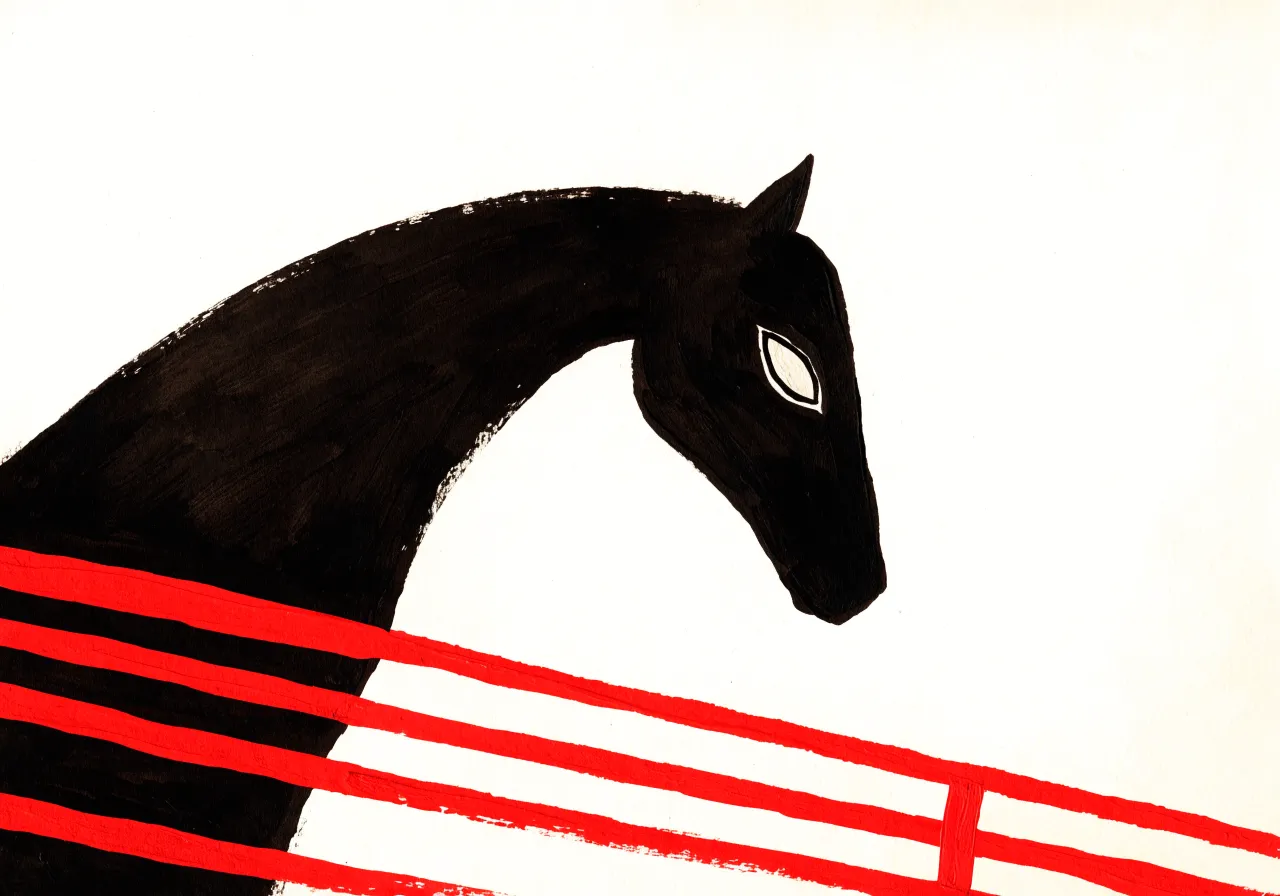 Black horse looking over a red gate