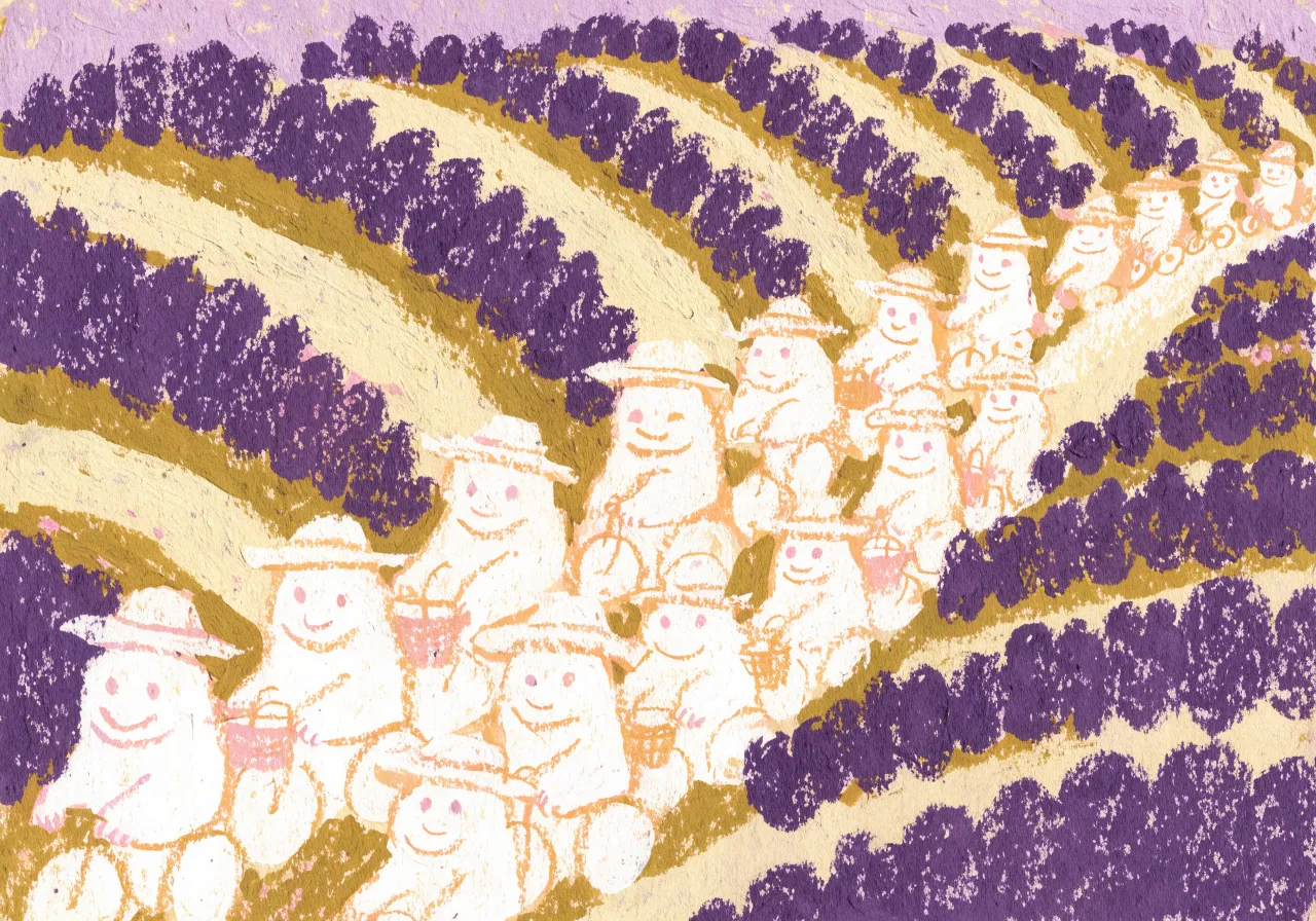 Illustrated print of people cycling through lavender fields