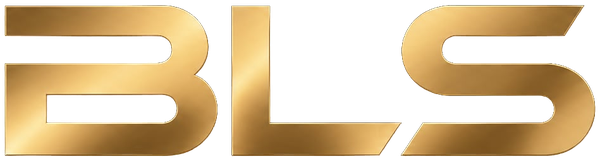 Bey Limousine Service Logo