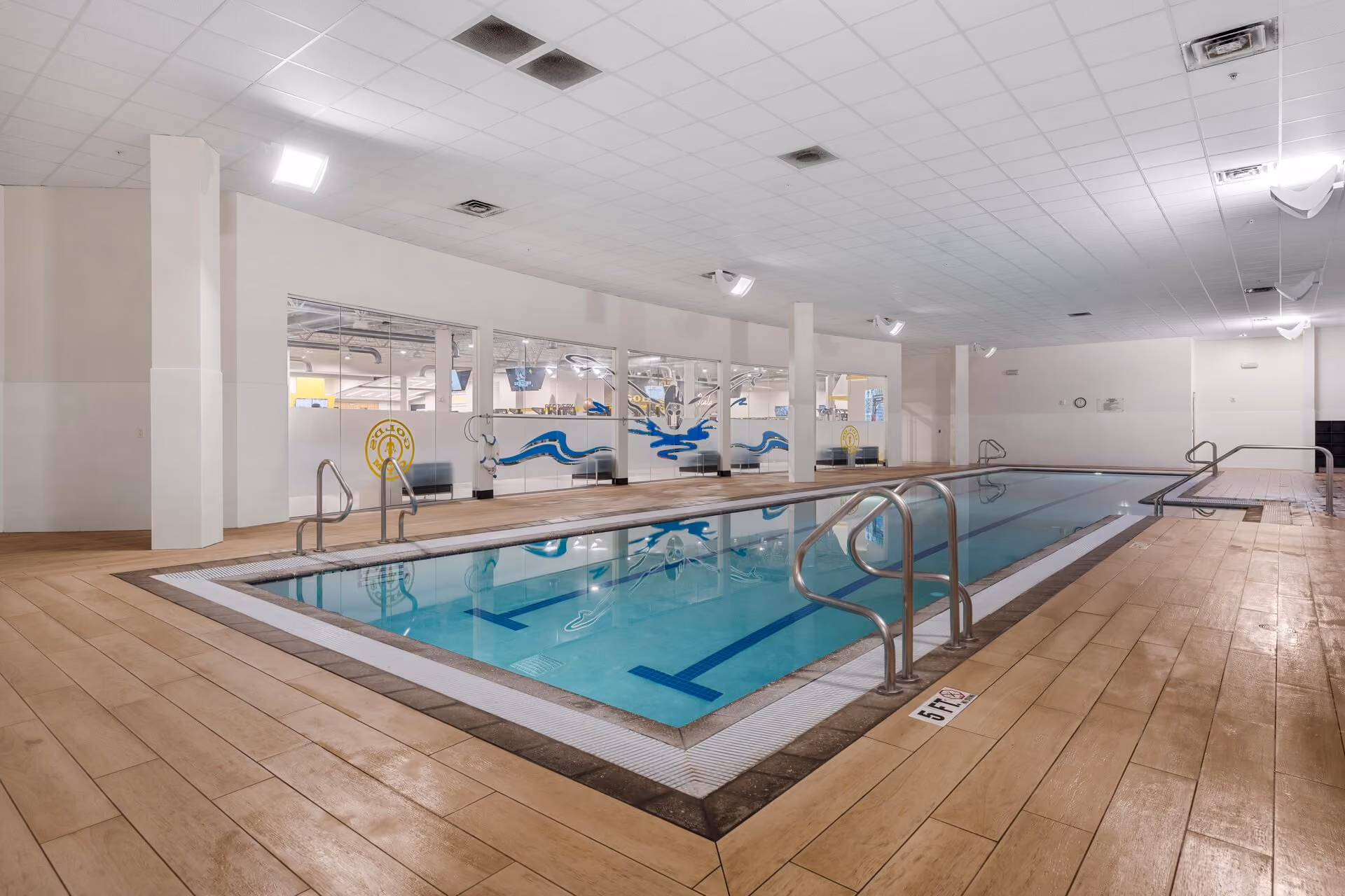 Indoor commercial lap pool with lane lines