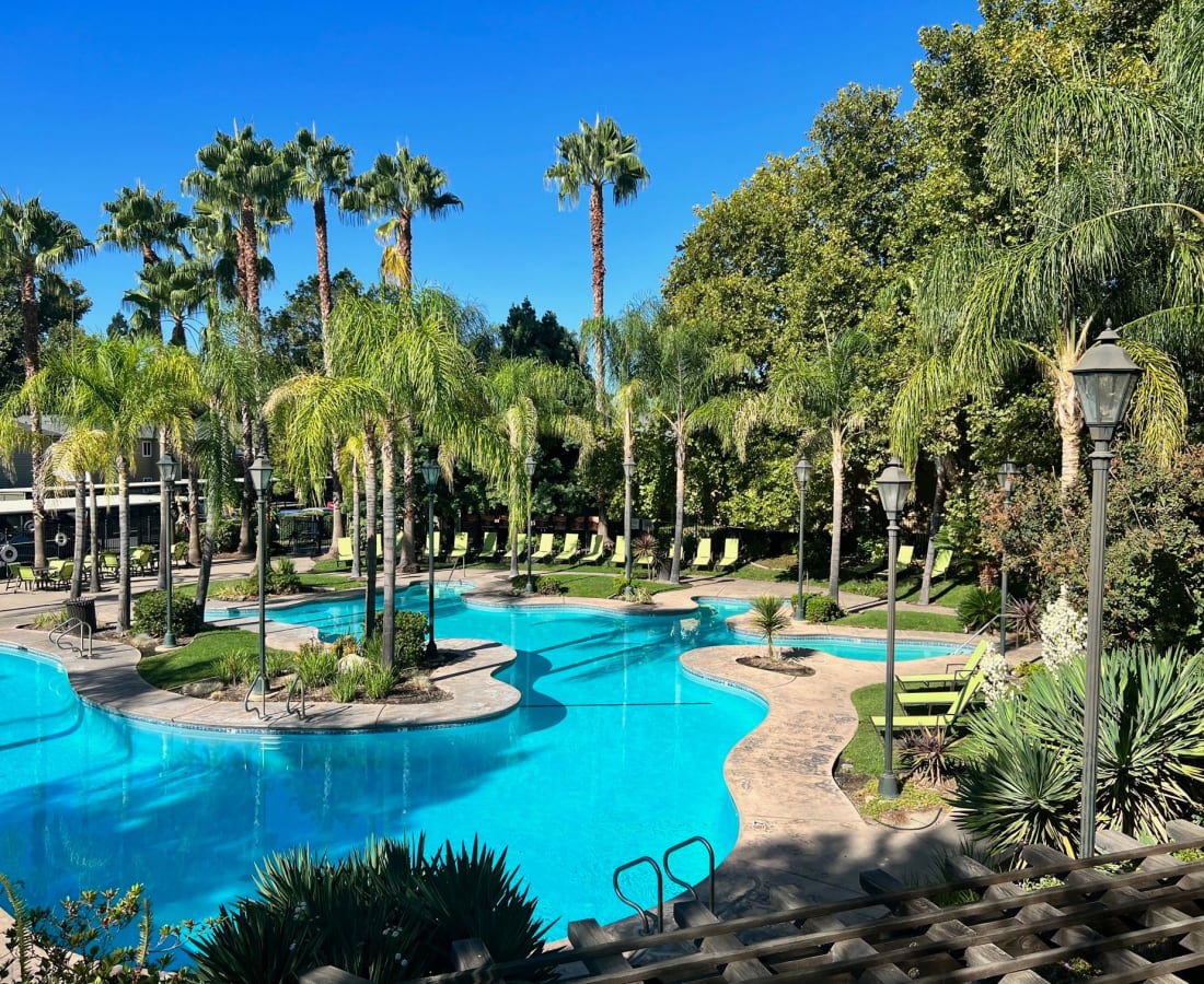 Swimming pool with lounge chairs and palm trees