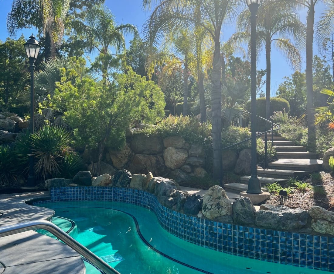 Swimming pool with lounge chairs and palm trees