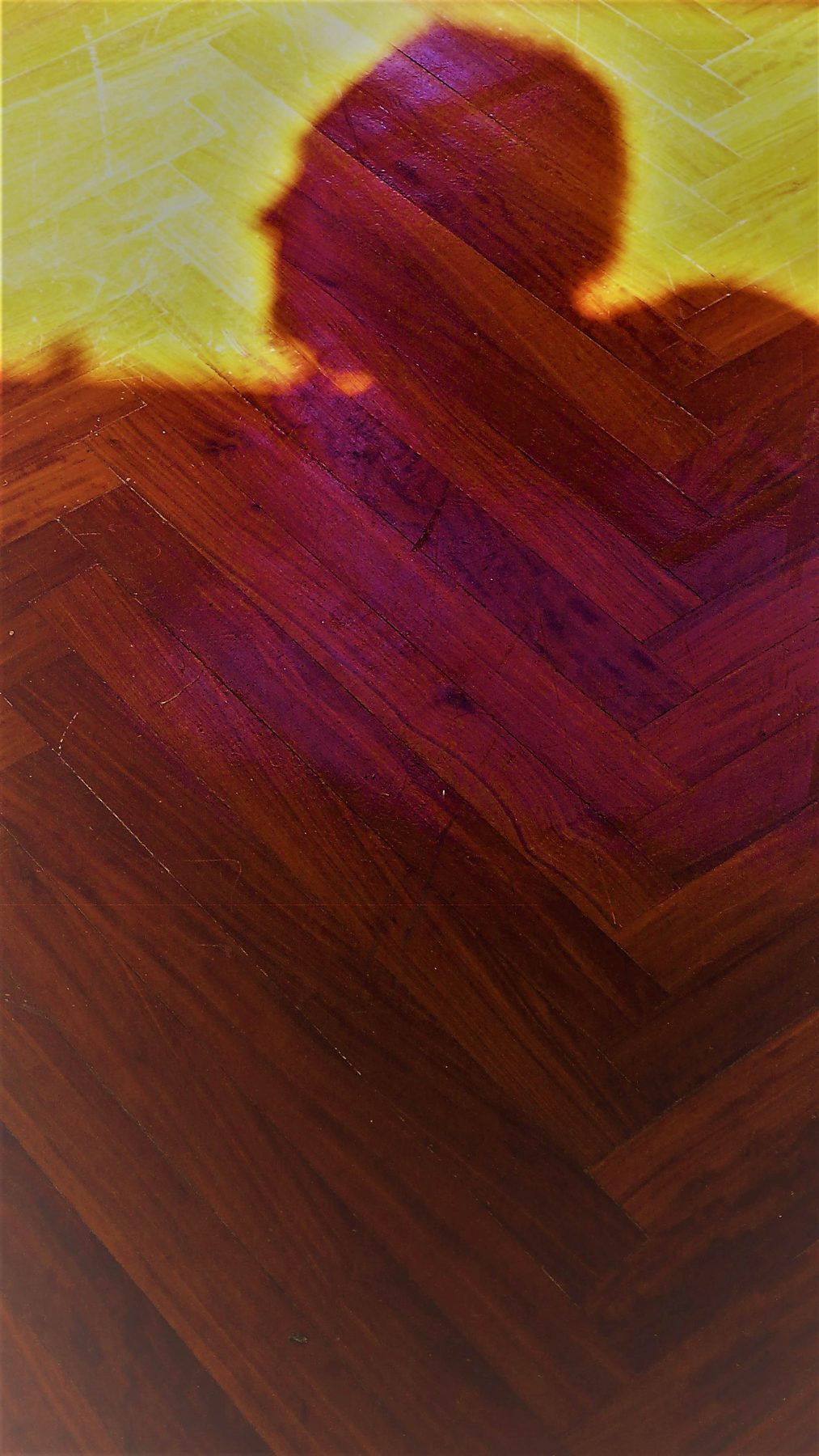 Shadow in the apartment