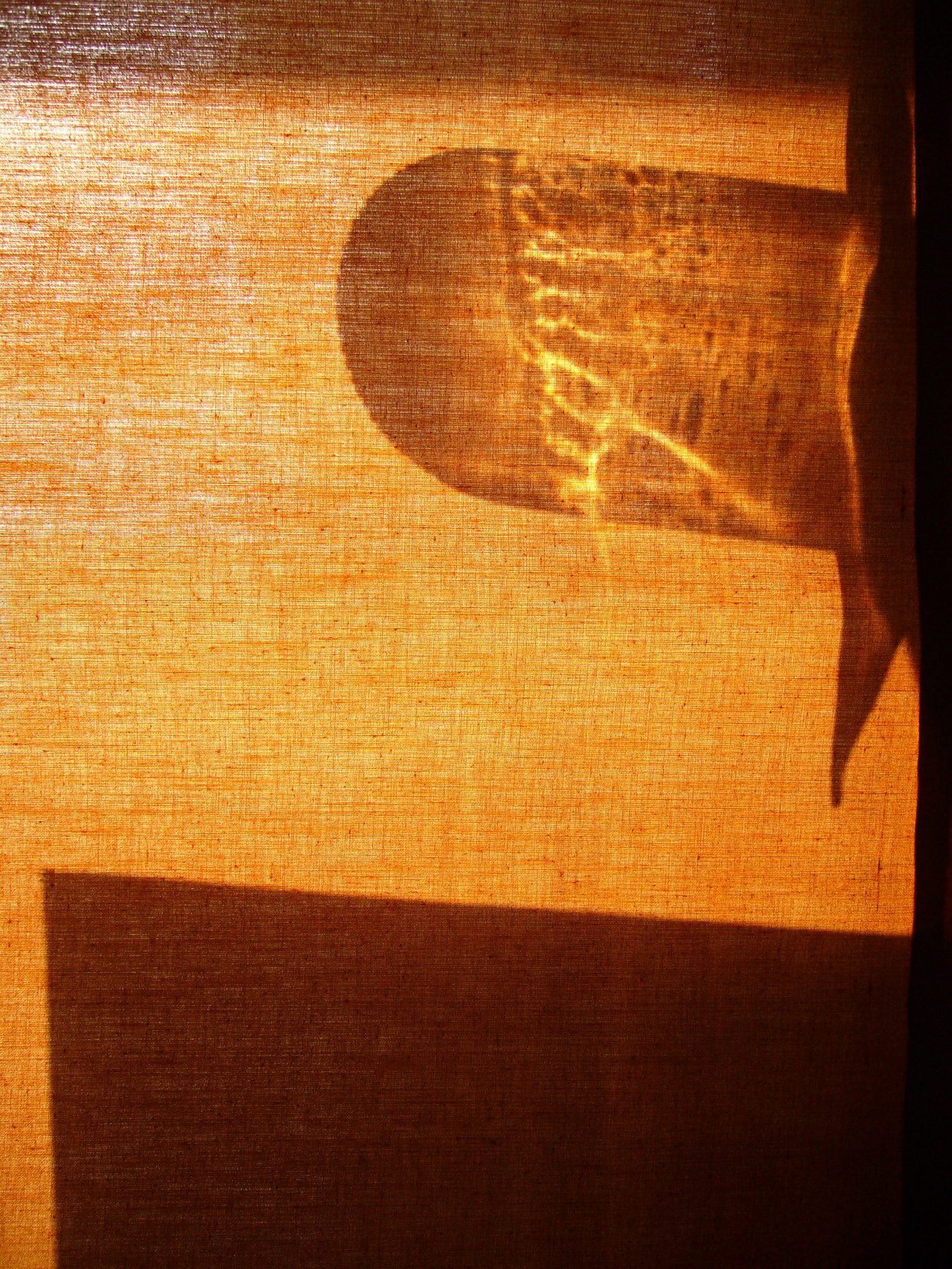 Light