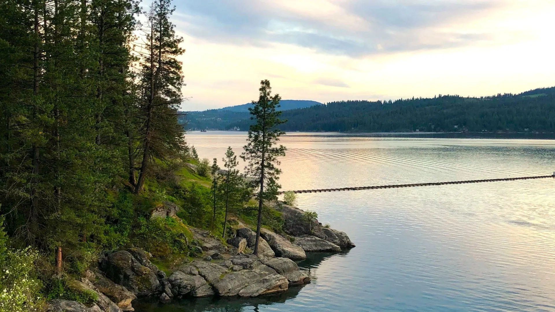 Coeur d’Alene lake and forested shoreline at golden hour