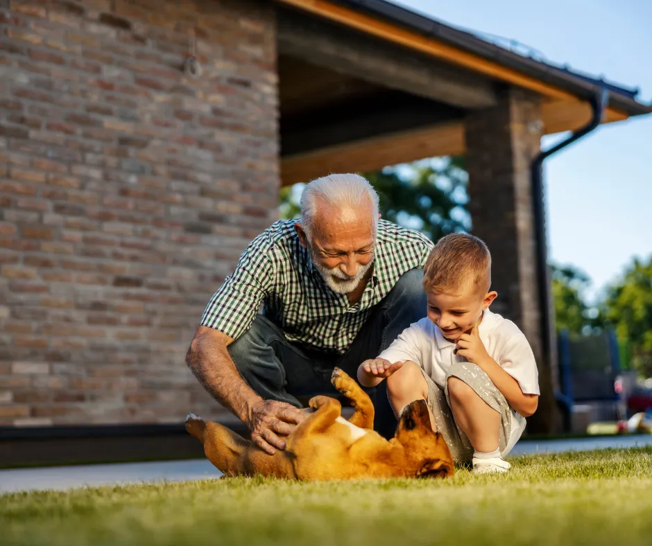 A grandfather and grandchild playing with a dog in a sunny backyard